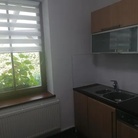 Roudny Černý Důl