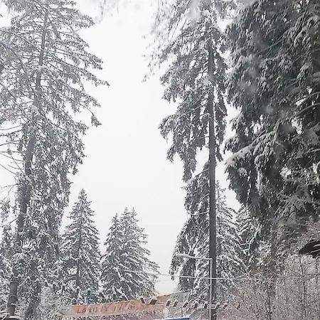 Roudny * Černý Důl
