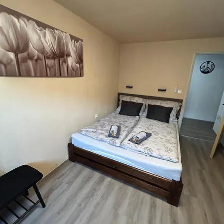 Roudny Černý Dŭl