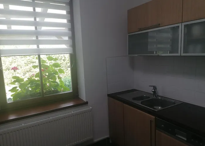 Roudny Černý Dŭl